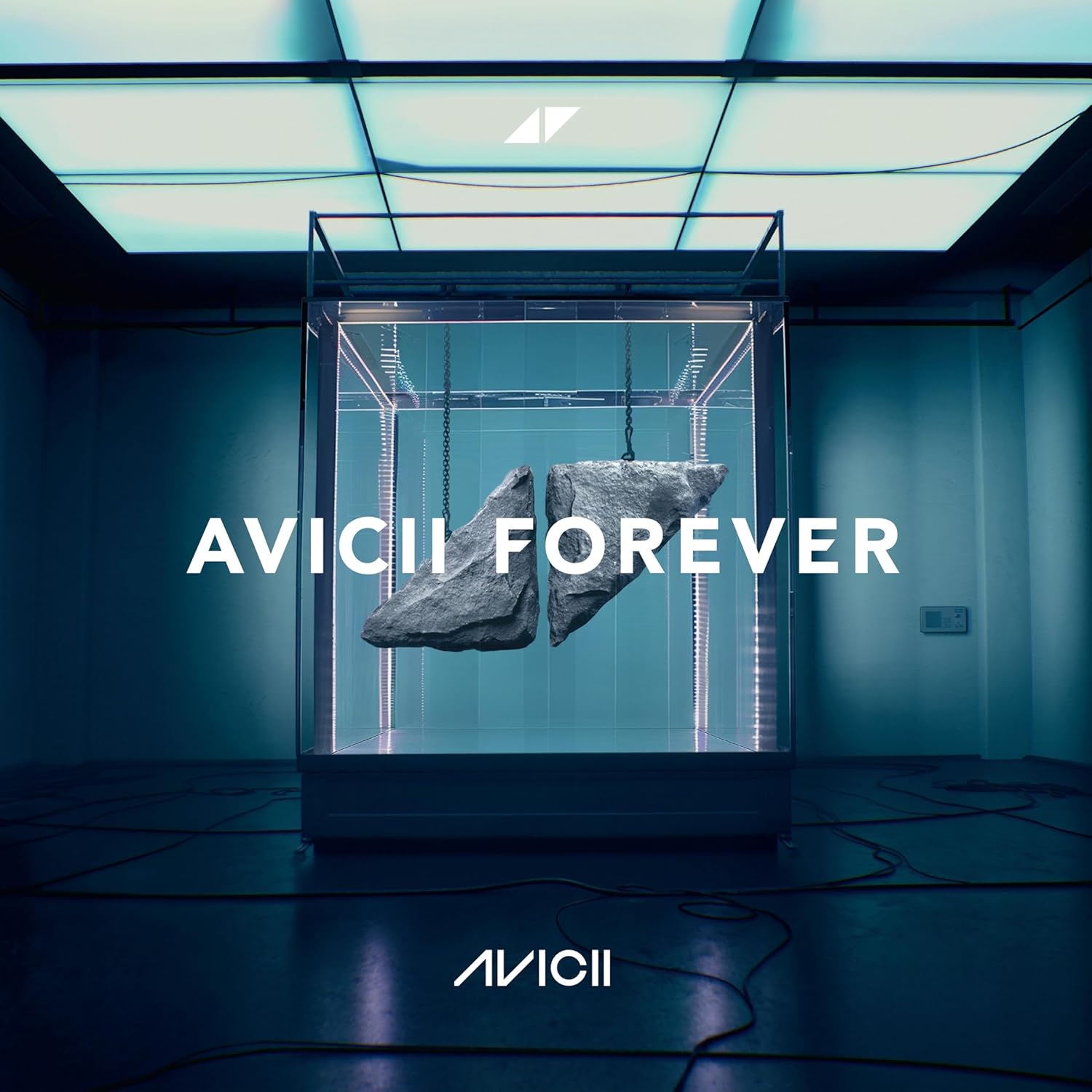 Avicii - Forever