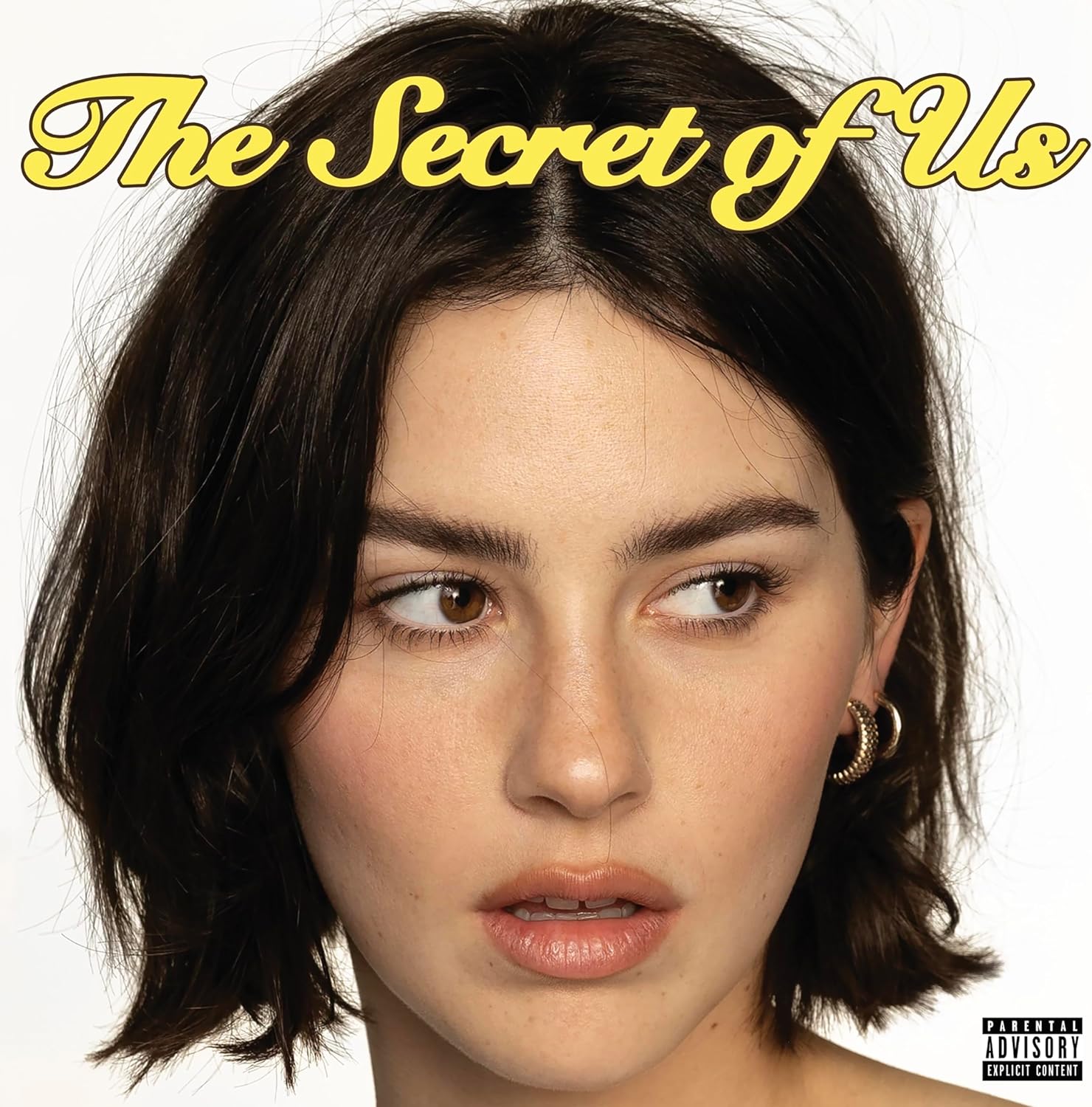 ABRAMS, GRACIE / SECRET OF US,THE(LP)